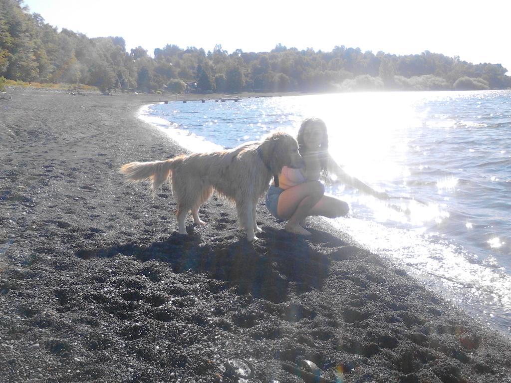 Bosque Del Lago Пукон Екстер'єр фото